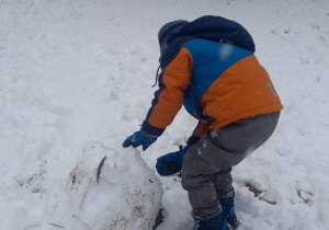 Chłopiec toczy kulę śniegową